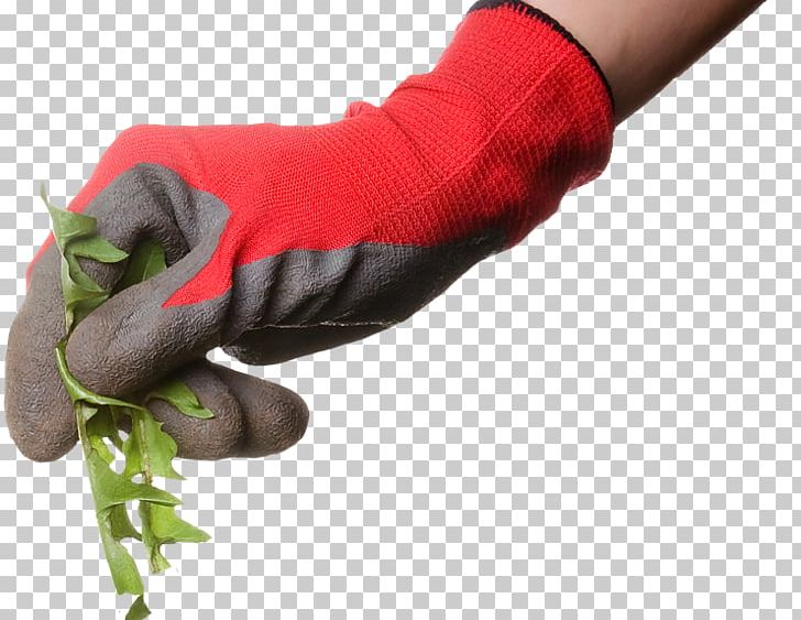 Weed Control Herbicide Lawn Small Business PNG, Clipart, Arm, Business, Finger, Food, Garden Free PNG Download