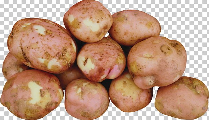 Russet Burbank Potato Yukon Gold Potato Encapsulated PostScript PNG, Clipart, Drawing, Encapsulated Postscript, Food, Potato, Potato And Tomato Genus Free PNG Download