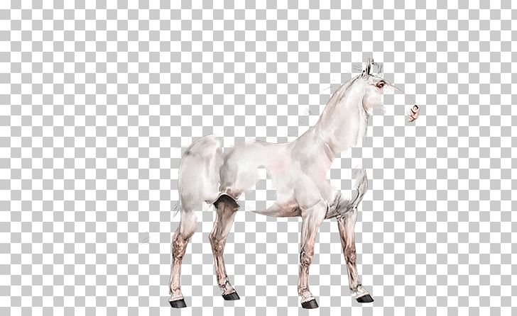 Stallion Mustang Foal Colt Mare PNG, Clipart, Animal Figure, Bridle, Colt, Dog Harness, Foal Free PNG Download