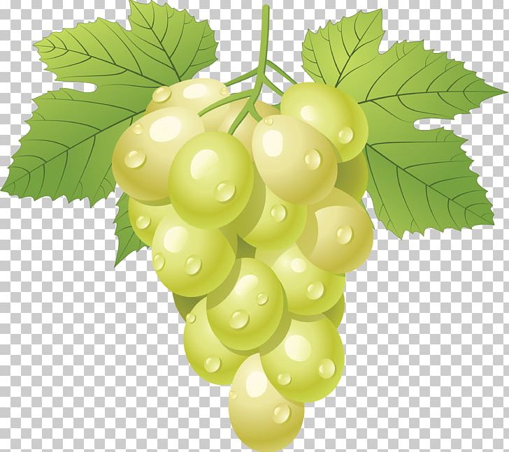 Grape PNG, Clipart, Food, Free, Fruit, Fruits, Grape Free PNG Download