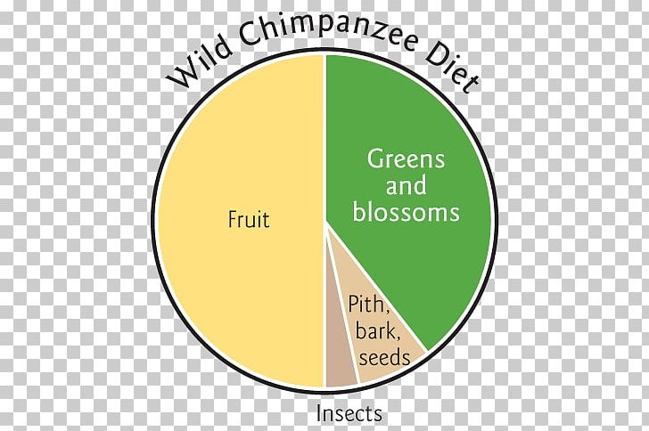 Raw Foodism Common Chimpanzee Smoothie Diet Eating PNG, Clipart, Area, Bonobo, Brand, Chimpanzee, Circle Free PNG Download