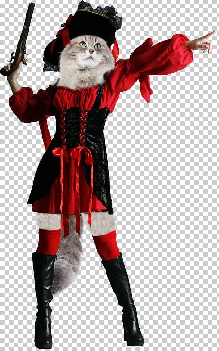 Santa Claus Christmas Ornament Costume Character PNG, Clipart, Character, Christmas, Christmas Ornament, Costume, Fiction Free PNG Download