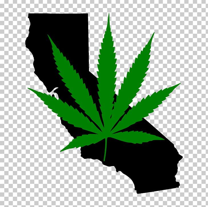 California U.S. State PNG, Clipart, 51st State, California, Cannabis, Hemp, Hemp Family Free PNG Download