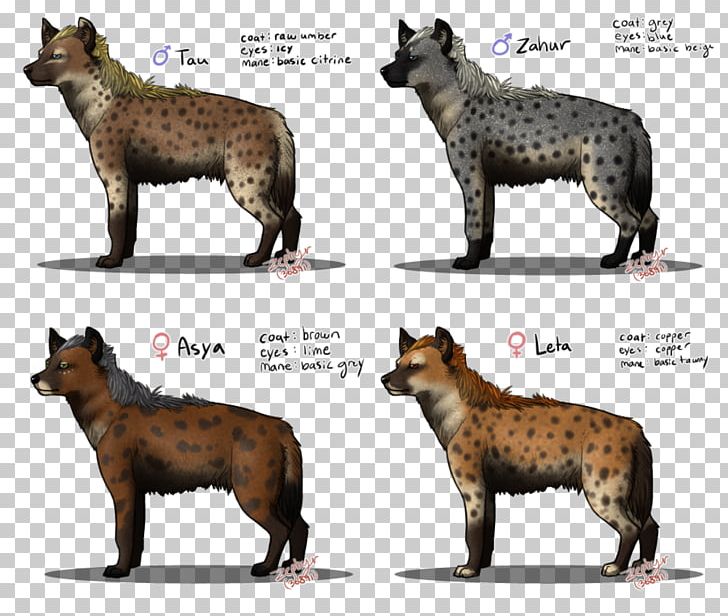 Carnivora Striped Hyena Drawing Lion PNG, Clipart, Animals, Big Cat, Carnivora, Carnivoran, Cartoon Free PNG Download