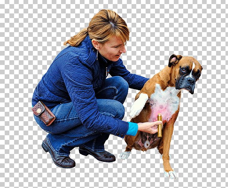 Dog Breed Horse Boxer Light Therapy Companion Dog PNG, Clipart, Aggression, Animals, Boxer, Companion Dog, Dog Free PNG Download