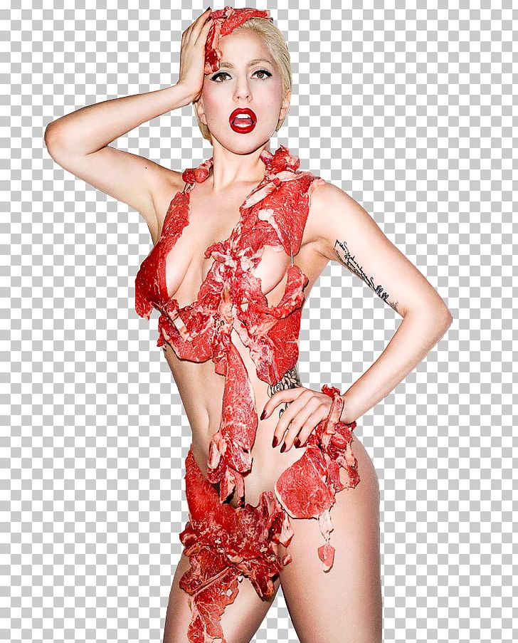 Lady Gaga's Meat Dress PNG, Clipart, Bikini, Clipart, Clothing, Costume, Dress Free PNG Download