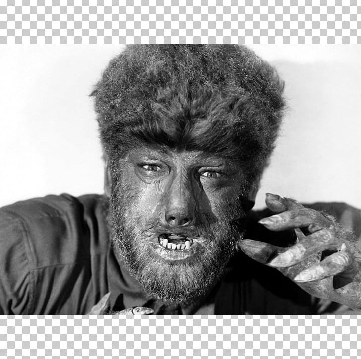 Lon Chaney Jr. The Wolf Man Universal S Larry Talbot Werewolf PNG, Clipart, Beard, Black And White, Facial Hair, Film, Forehead Free PNG Download