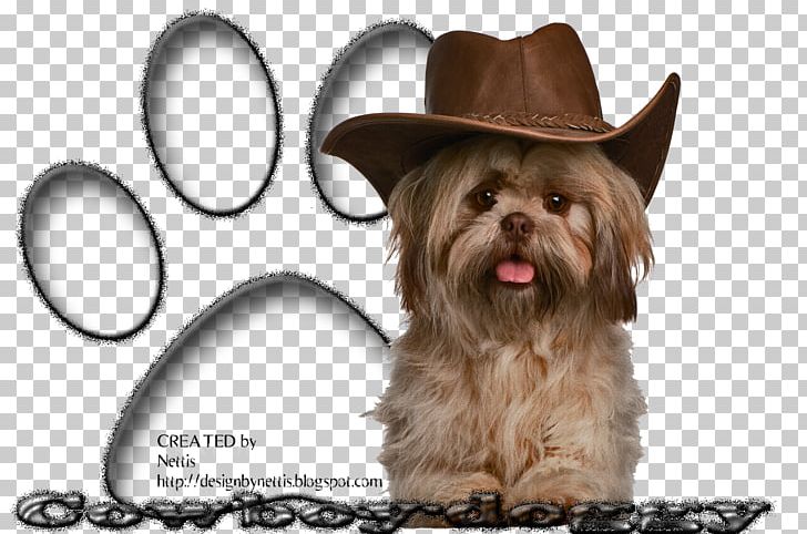 Shih Tzu Puppy Dog Breed Toy Dog Terrier PNG, Clipart, Animal, Animals, Breed, Canidae, Carnivora Free PNG Download
