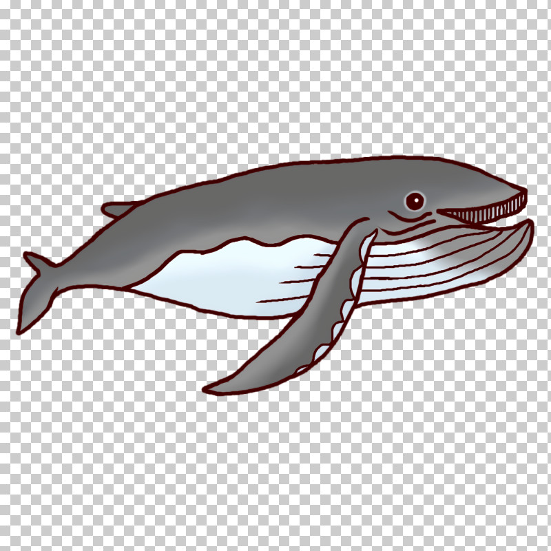 Porpoise Dolphin Fish Font Biology PNG, Clipart, Biology, Dolphin, Fish, Porpoise, Science Free PNG Download