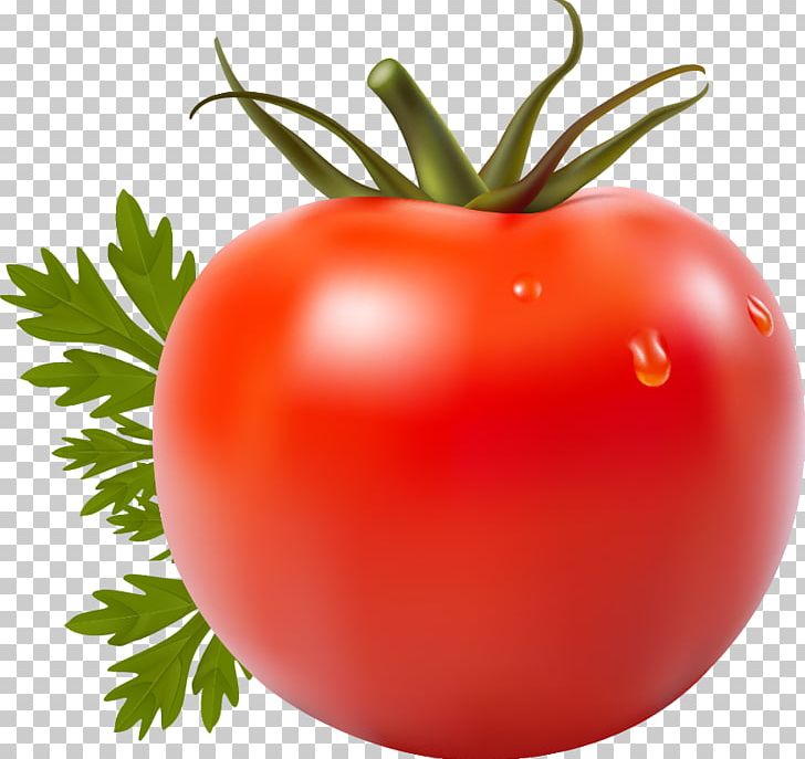 Tomato Juice San Marzano Tomato Vegetable Cherry Tomato PNG, Clipart, Bush Tomato, Encapsulated Postscript, Foo, Food, Fruit Free PNG Download