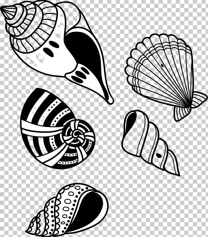 Seashell Conch PNG, Clipart, Aquatic Animal, Black And White, Circle, Conch, Conch Vector Free PNG Download