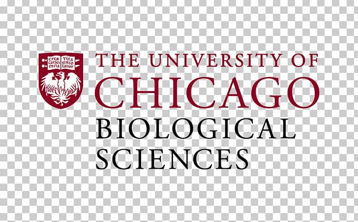 University Of Chicago Laboratory Schools Pritzker School Of Medicine PNG, Clipart, Academic Degree, Area, Brand, Chicago, College Free PNG Download