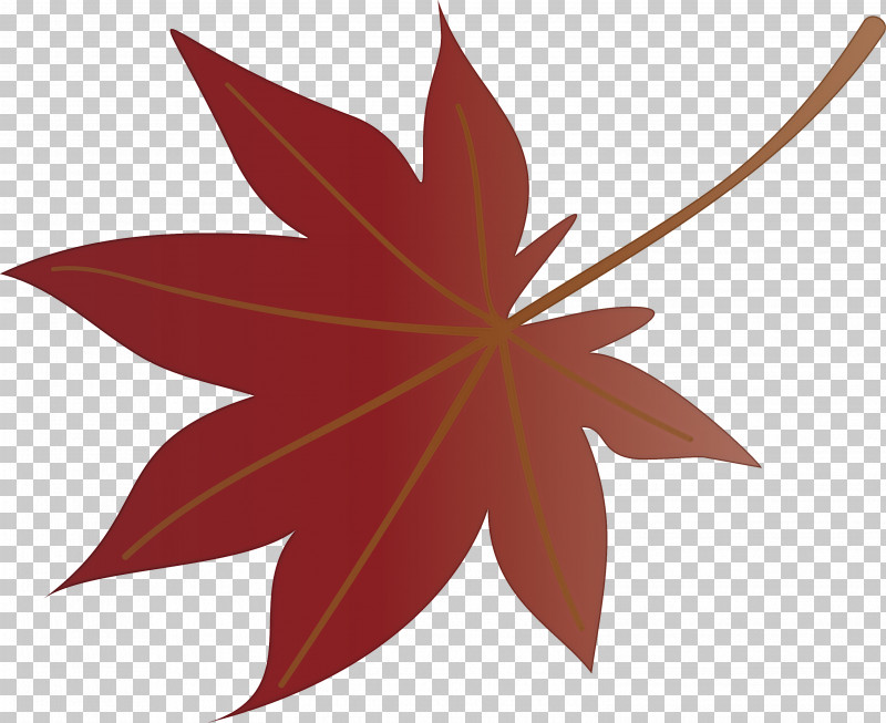 Autumn Leaf Colourful Foliage Colorful Leaves PNG, Clipart, Autumn Leaf, Autumn Leaf Color, Biodiversity, Biology, Colorful Leaf Free PNG Download