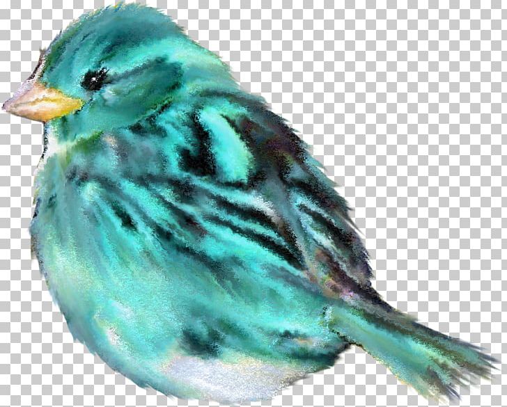 Bird Sparrow PNG, Clipart, Animal, Animals, Beak, Bird, Birds Free PNG Download