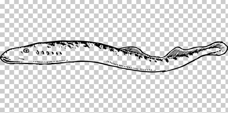 Eel Coloring Book Drawing PNG, Clipart, Angle, Black And White, Book, Coloring Book, Drawing Free PNG Download