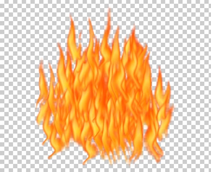 Flame Fire Diagram PNG, Clipart, Alpha Compositing, Carrot, Chart, Colored Fire, Combustion Free PNG Download