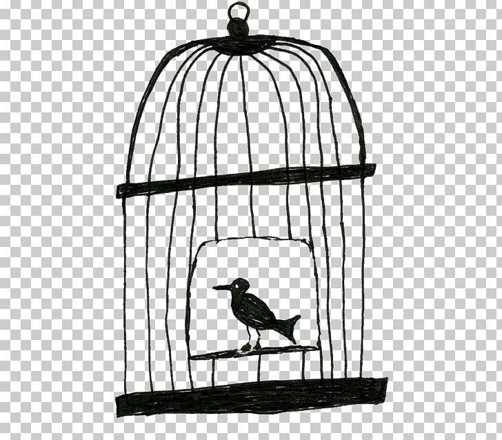 Lovebird Birdcage Drawing PNG, Clipart, Animals, Art, Beak, Bird, Birdcage Free PNG Download