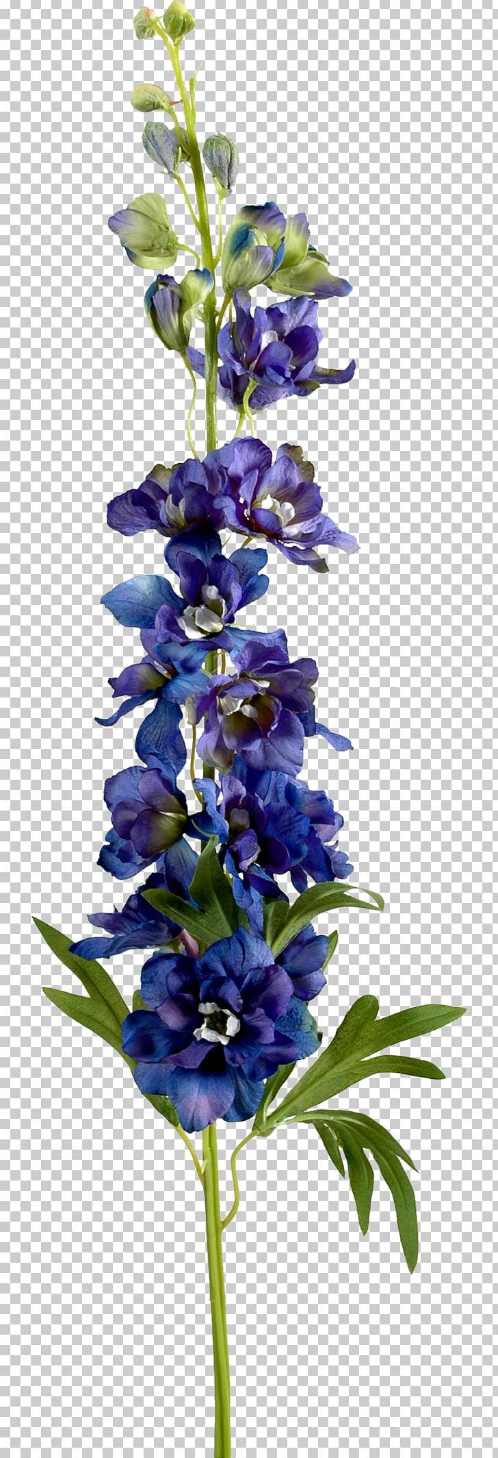 Artificial Flower Larkspur PNG, Clipart, Common Sage, Country, Country Style, Creative Background, Decorative Free PNG Download
