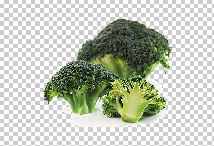 Broccoli Organic Food Vegetable Gratis PNG, Clipart, Broccolini, Cauliflower, Euclidean Vector, Flowerpot, Food Free PNG Download