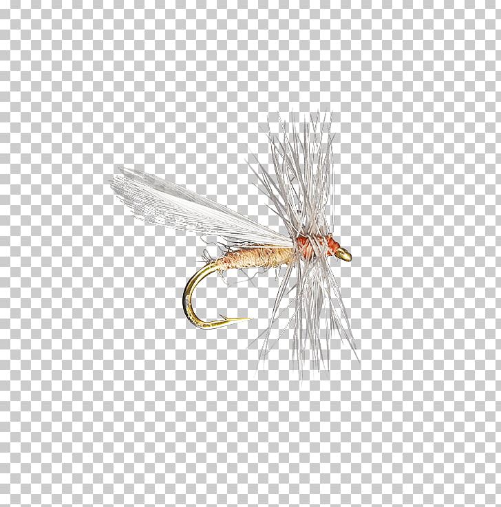 Crane Fly Insect Artificial Fly Fly Fishing PNG, Clipart, Artificial Fly, Crane Fly, Email, Fishing Bait, Fly Free PNG Download