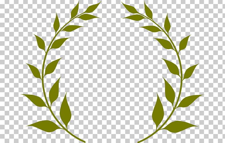 Olive Branch Olive Wreath PNG, Clipart, Bay Laurel, Black And White, Branch, Circle, Clip Art Free PNG Download