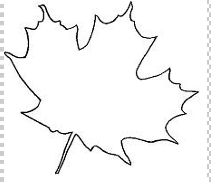 Sugar Maple Japanese Maple Canada Maple Leaf PNG, Clipart, Angle, Area, Artwork, Autumn, Autumn Leaf Color Free PNG Download