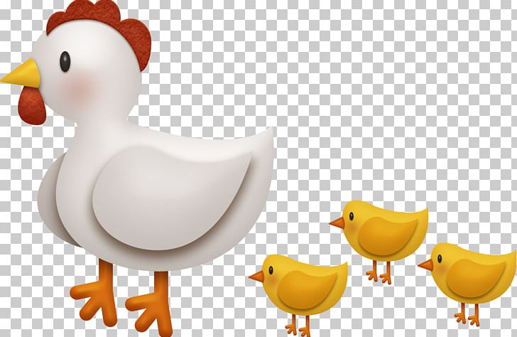 Chicken Duck Pollitos Pintados PNG, Clipart, Animals, Animation, Battery Cage, Beak, Bird Free PNG Download