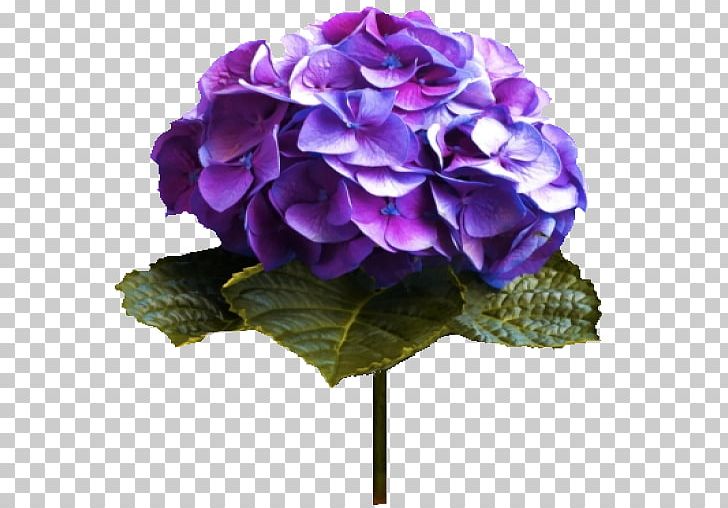 Flower Color Lilac Violet Hydrangea PNG, Clipart, Artificial Flower, Blue, Blume, Box, Color Free PNG Download