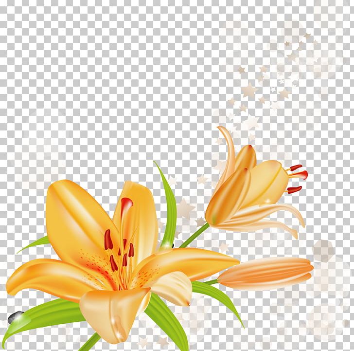 Lilium Bulbiferum Tiger Lily Arum-lily PNG, Clipart, Arum Lily, Arumlily, Calla Lily, Cherry Blossom, Clip Art Free PNG Download