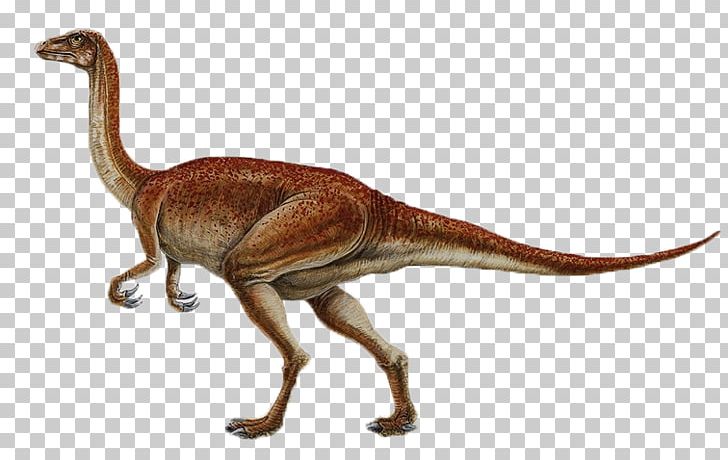 Segnosaurus Dinosaur Size Late Cretaceous Buitreraptor Thecodontosaurus PNG, Clipart, Cartoon, Cartoon Dinosaur, Cretaceous, Dinosaur Egg, Dinosaur Footprints Free PNG Download
