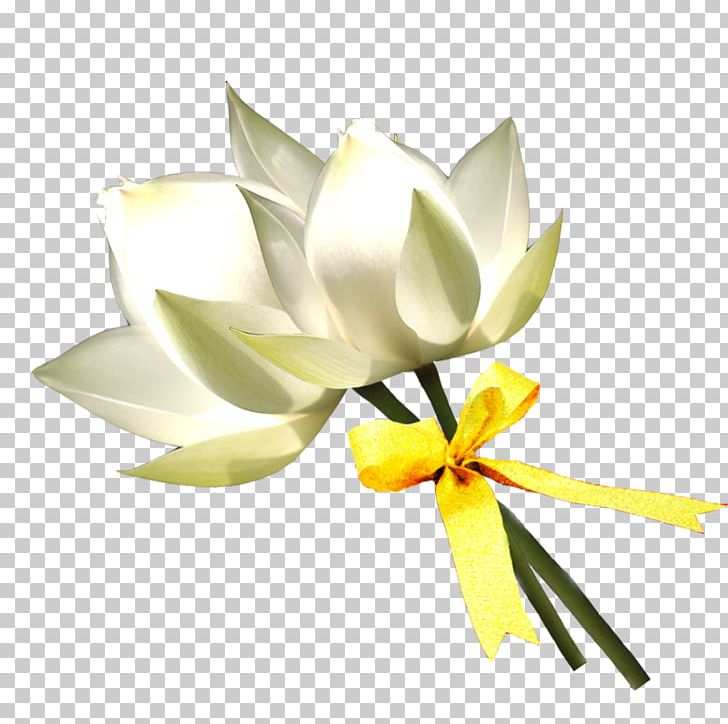 Floral Design Lilium White PNG, Clipart, Bow, Computer Software, Cut Flowers, Download, Encapsulated Postscript Free PNG Download