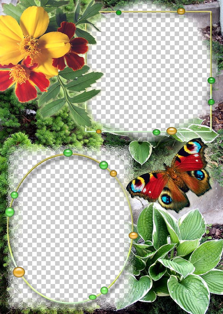 Frames Photography PNG, Clipart, Beautiful, Border Frame, Butterfly, Chinese Style, Computer Icons Free PNG Download