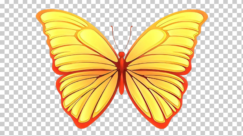 Moths And Butterflies Butterfly Insect Symmetry Pollinator PNG, Clipart, Brushfooted Butterfly, Butterfly, Insect, Moths And Butterflies, Pieridae Free PNG Download