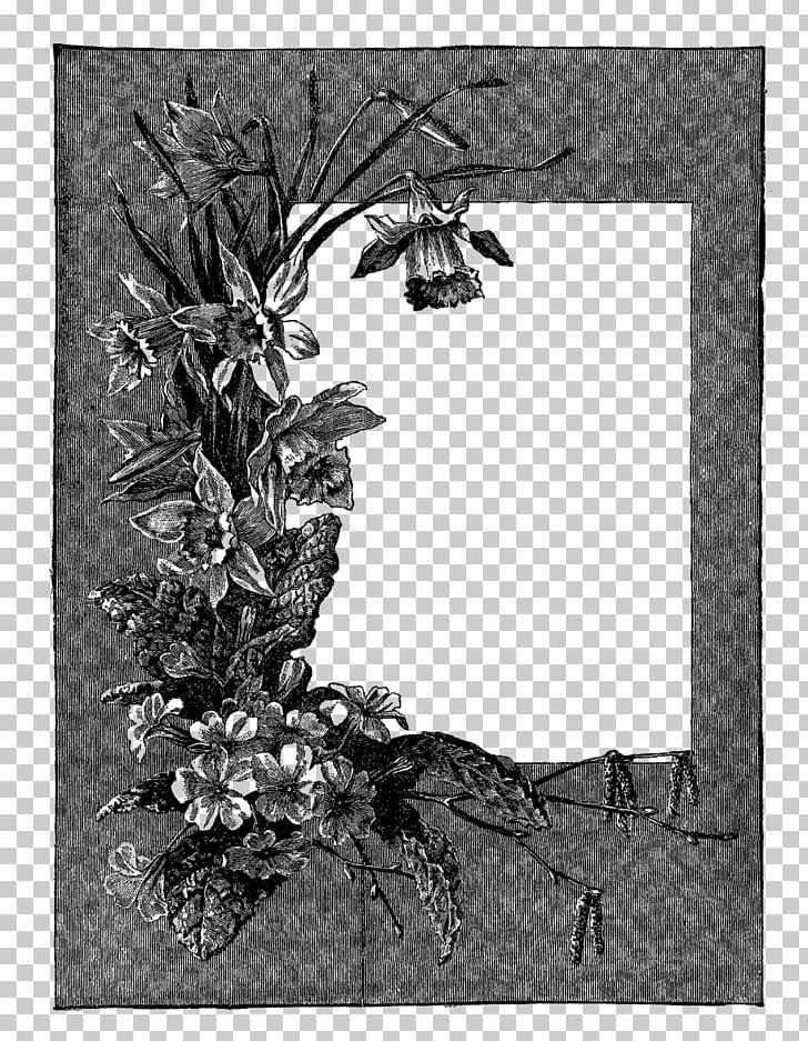 Digital PNG, Clipart, Black And White, Botanic Black, Branch, Digital Image, Digital Photo Frame Free PNG Download
