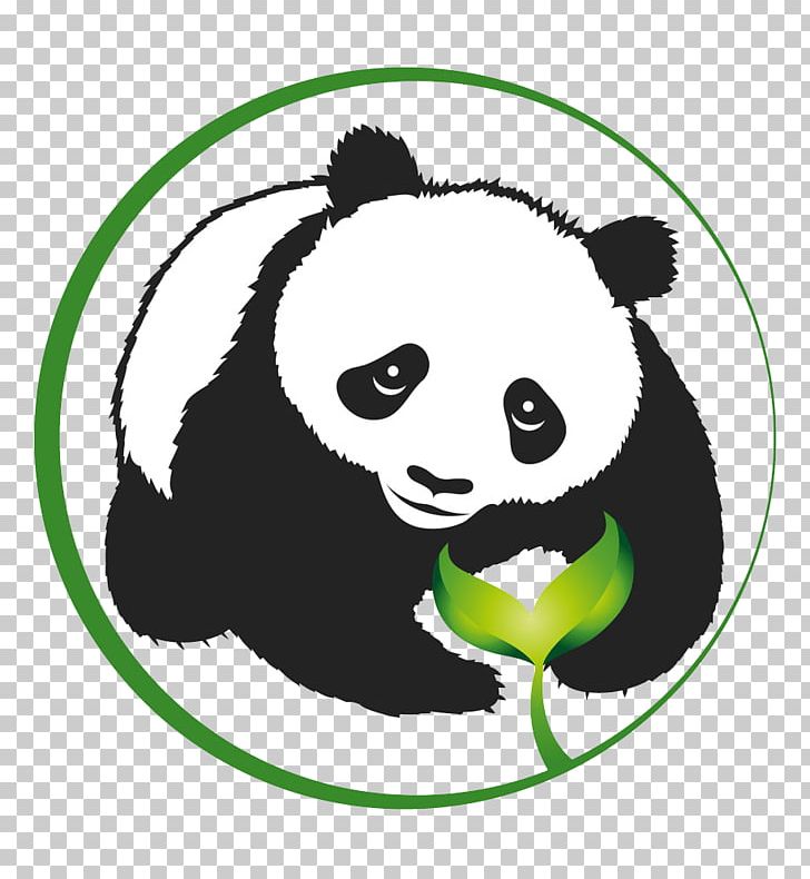Giant Panda PNG, Clipart, Arrows Circle, Ball, Bear, Carnivoran, Cartoon Free PNG Download