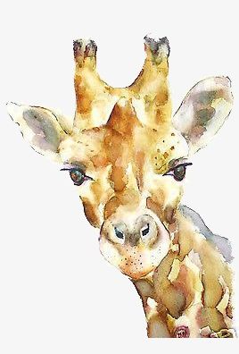 Giraffe PNG, Clipart, Animal, Art, Cartoon, Fresh, Giraffe Free PNG Download