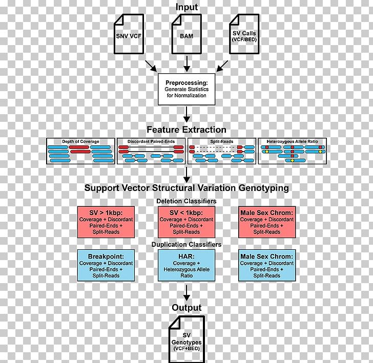 Structural Variation Genotyping Genotype Genetic Variation Libraries.io PNG, Clipart, Allele, Area, Brand, Computer Software, Diagram Free PNG Download