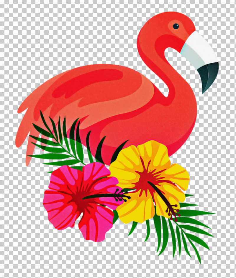 Flamingo PNG, Clipart, Beak, Bird, Flamingo, Greater Flamingo, Plant Free PNG Download