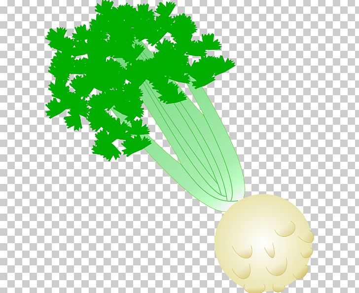 Celeriac Soup Vegetable Dieting PNG