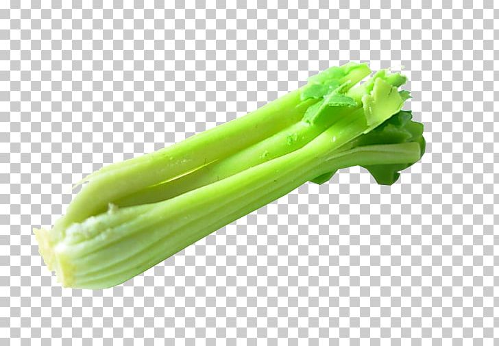 Celery Plant Stem Vegetable Celeriac Smoothie PNG, Clipart, Beer, Broccoli, Celeriac, Celery, Celtuce Free PNG Download