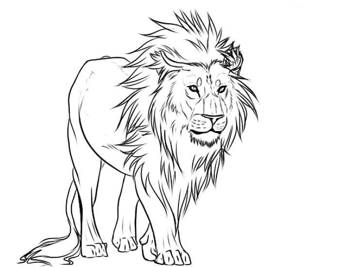 lion Art Drawing Sketches Big Cats - Armandina Naveed