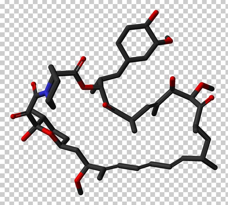 Sirolimus MTOR Pharmaceutical Drug FKBP Transplant Rejection PNG, Clipart, 1 C, Angle, Area, C 9, Calcineurin Free PNG Download