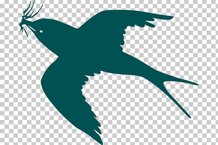 Bird Flight Bird Flight Silhouette PNG, Clipart, Art, Beak, Bird, Bird Flight, Drawing Free PNG Download