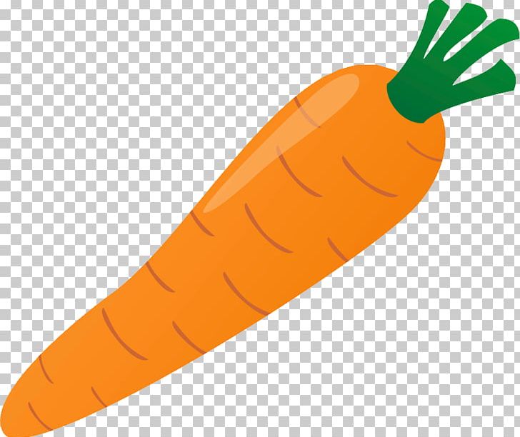 Carrot Cake Vegetable Soup Food PNG, Clipart, Carrot, Carrot Cake, Coloring Book, Food, Kurashiki Heisei Hospital Free PNG Download