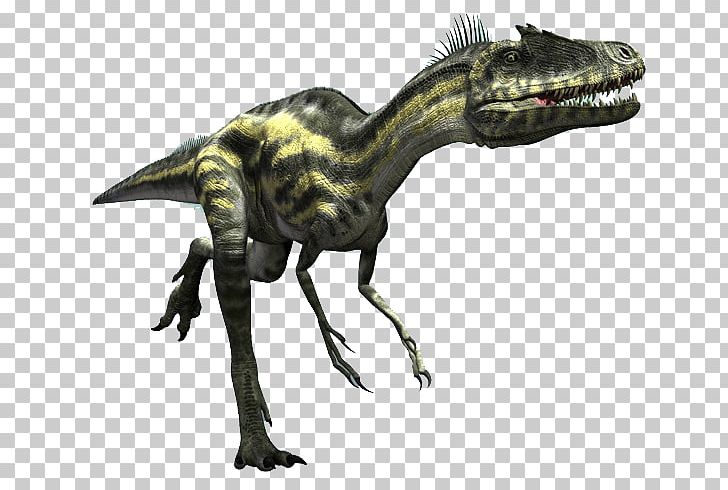Deltadromeus Velociraptor Ceratosaurus Alioramus Bahariasaurus PNG, Clipart, Alioramus, Bahariasaurus, Brontosaurus, Carcharodontosaurus, Carnivore Free PNG Download