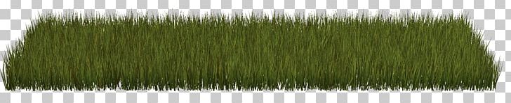 Grass Herbaceous Plant Lawn PNG, Clipart, Cicek Resimleri, Cim, Flower, Grass, Grass Family Free PNG Download