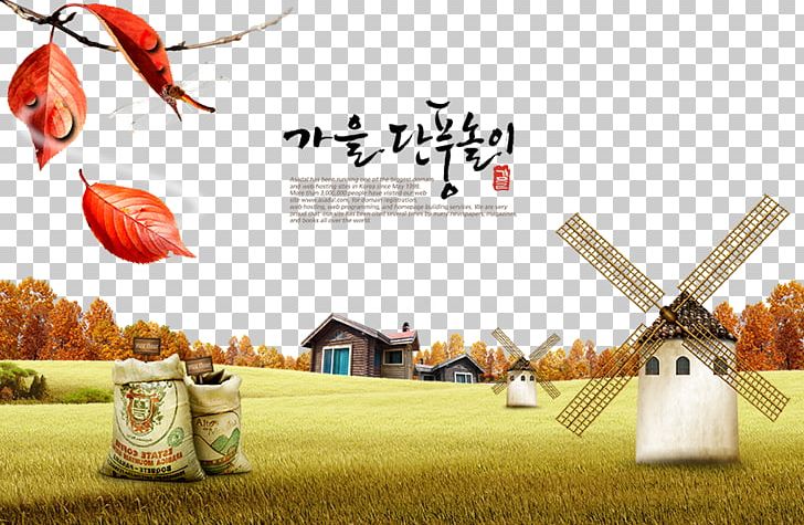 South Korea Autumn Poster Font PNG, Clipart, Advertising, Autumn Leaf Color, Beautiful Scenery, Calligraphy, Computer Wallpaper Free PNG Download