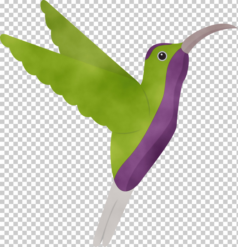 Feather PNG, Clipart, Beak, Cartoon Bird, Cute Bird, Feather, Hummingbirds Free PNG Download