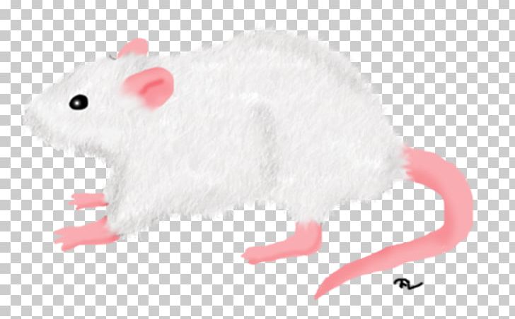 Gerbil Rat Mouse Rodent Hamster PNG, Clipart, Animal, Animal Figure, Animals, Gerbil, Hamster Free PNG Download