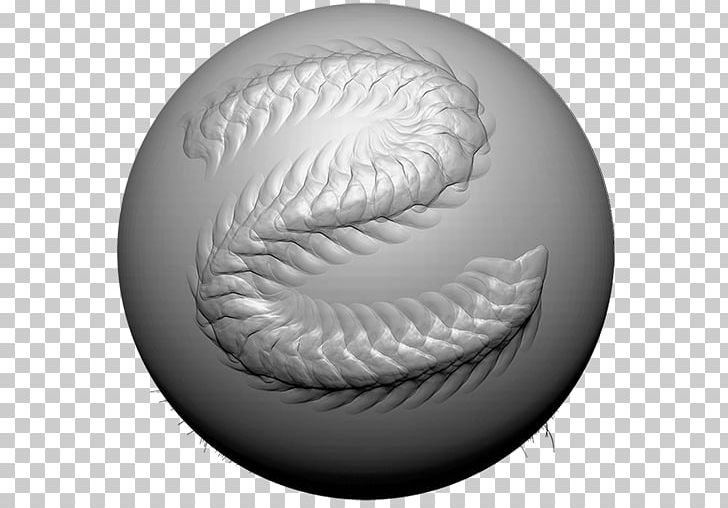 ZBrush Sculptris Texture Mapping PNG, Clipart, Autodesk Maya, Black And White, Brush, Circle, Computer Graphics Free PNG Download